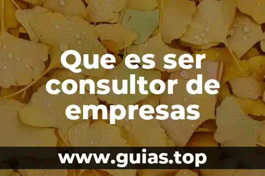 Que es ser facultados 6 Que es ser consultor de empresas