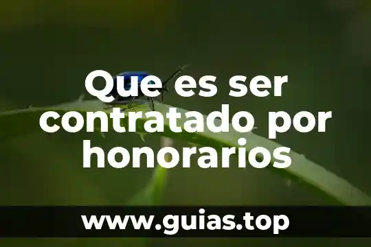 Que es ser obo 6 Que es ser contratado por honorarios