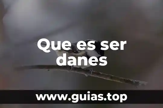 Por que es importante ser un buen lider 3 Que es ser danes