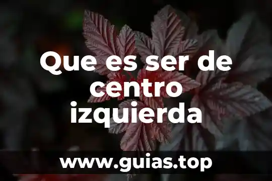 Que es ser outa 6 Que es ser de centro izquierda