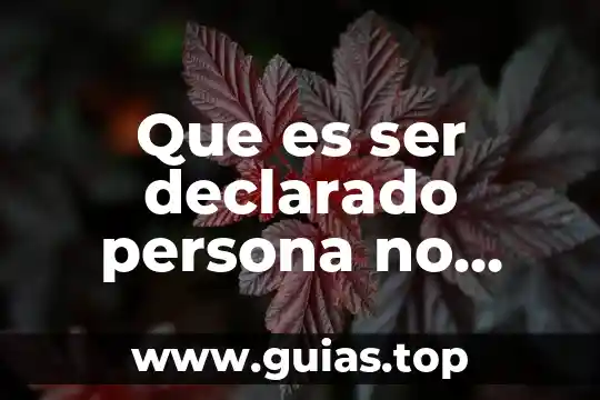 Que es el ser humano en sus diferentes etapas 3 Que es ser declarado persona no grata