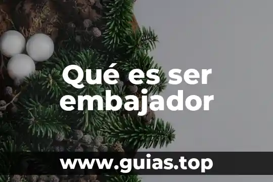 Qué es un ser intersexual 3 Qué es ser embajador