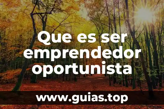 Que es ser vago 5 Que es ser emprendedor oportunista
