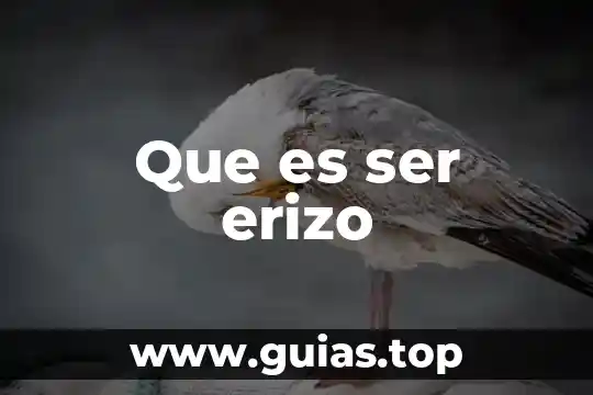Que es ser excepcional 5 Que es ser erizo
