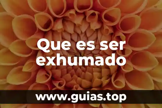 Que es ser cristiano catolico mariano 7 Que es ser exhumado