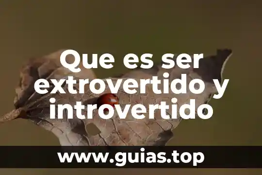 Que es ser yonki 7 Que es ser extrovertido y introvertido