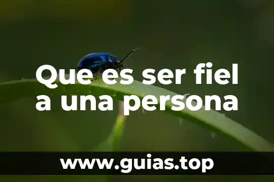 Que es un texto de introductorio 5 Que es ser fiel a una persona