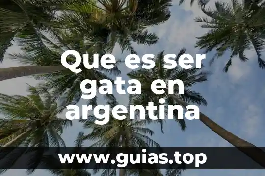 Que es la comunidad internacional y sus funciones 5 Que es ser gata en argentina