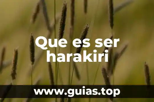 Que es ser humani 3 Que es ser harakiri