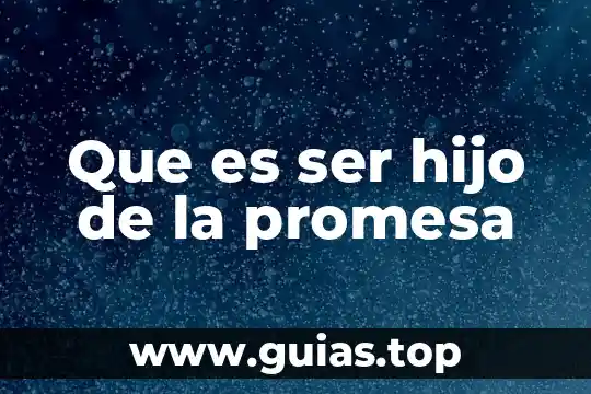 Que es ser heredero unico y universal 5 Que es ser hijo de la promesa