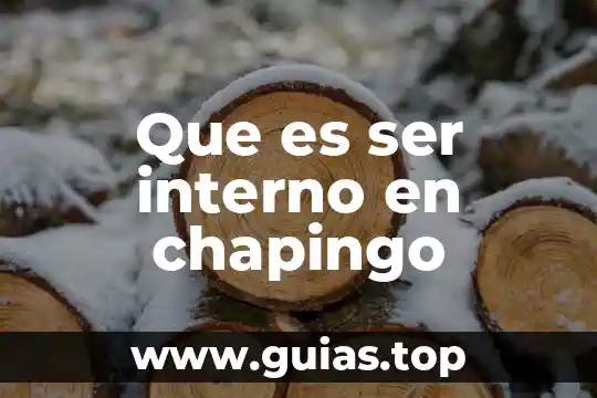 Qué es ser artero 8 Que es ser interno en chapingo