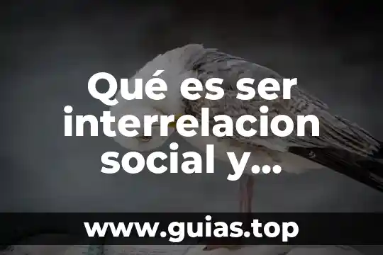 Qué es la axiología y su relación con la ética 7 Qué es ser interrelacion social y relación social