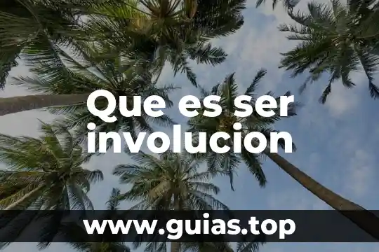 Que es ser garante en derecho penal 3 Que es ser involucion