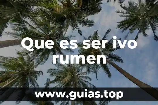 Que es un ser bidimensional 3 Que es ser ivo rumen