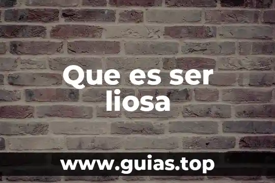 Que es ser una secretaria ejecutiva gerencial 8 Que es ser liosa