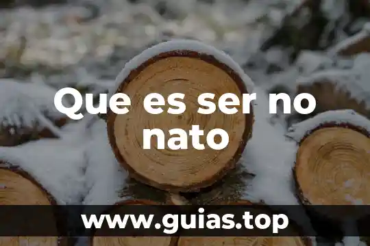 Que es ser orgullosa 8 Que es ser no nato