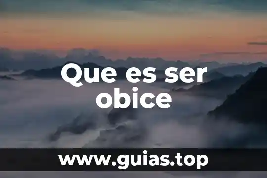 Que es el ser humano en sus diferentes etapas 8 Que es ser obice