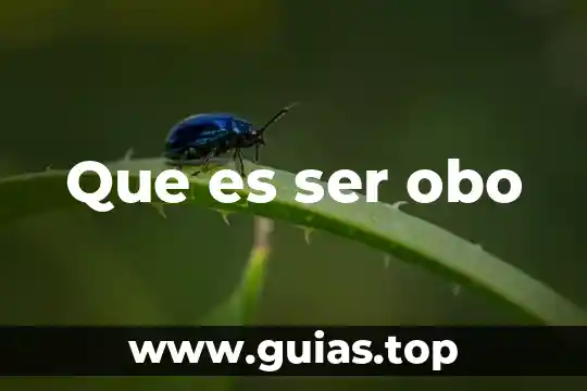 Que es privilegio de ser madres 8 Que es ser obo