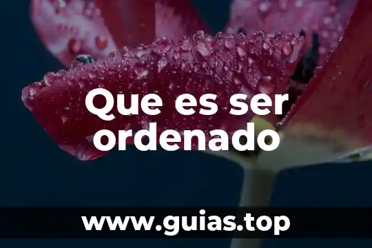 Que es ser fijado con la comida 6 Que es ser ordenado