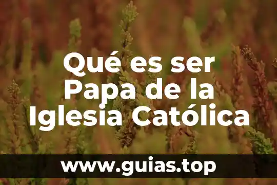 Para que es el bautismo segun la iglesia catolica 7 Qué es ser Papa de la Iglesia Católica