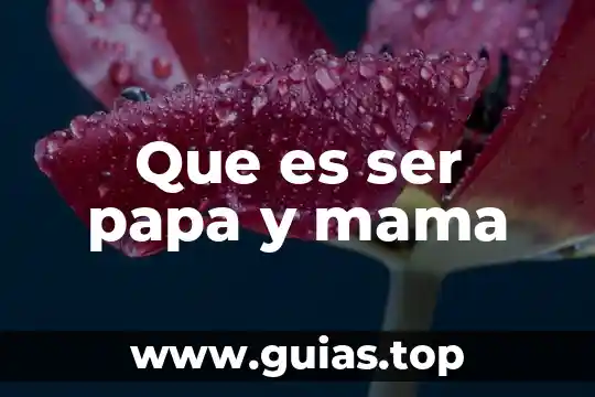 Que es ser demostrativo 5 Que es ser papa y mama