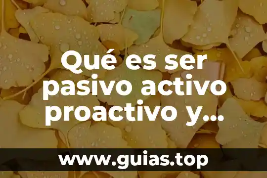 Que es el recurso activo ejemplo 6 Qué es ser pasivo activo proactivo y reactivo