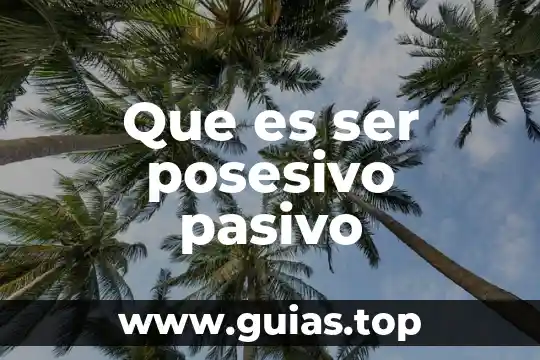 Qué es plurianual concepto 4 Que es ser posesivo pasivo