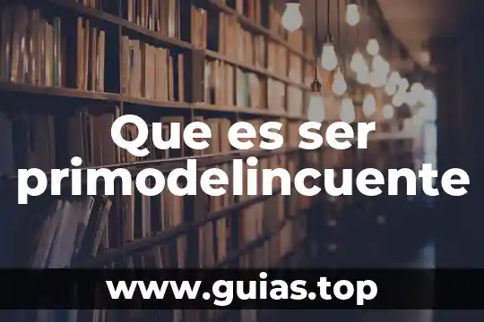 Qué es un canal en una comunicación 6 Que es ser primodelincuente