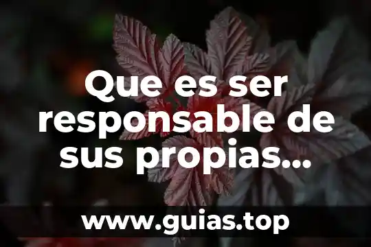 Que es ser teto en mexico 7 Que es ser responsable de sus propias acciones