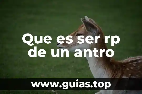 Que es ser no nato 5 Que es ser rp de un antro