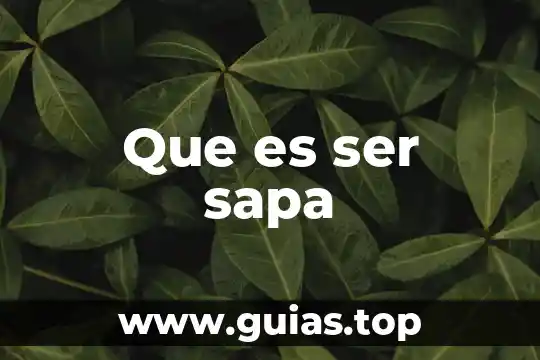 Que es ser un gap 5 Que es ser sapa
