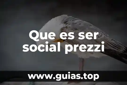 Que es la estructura de las organizaciones prezzi 6 Que es ser social prezzi