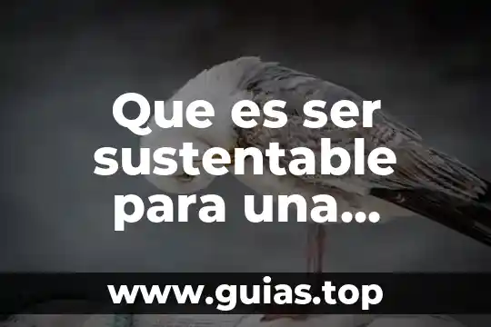 Que es una empresa hotelera concepto 3 Que es ser sustentable para una empresa