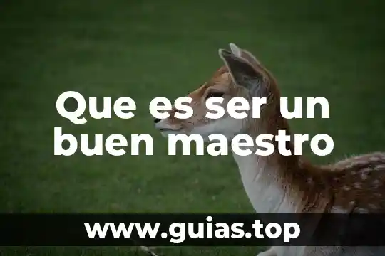 Que es un texto maestro 8 Que es ser un buen maestro