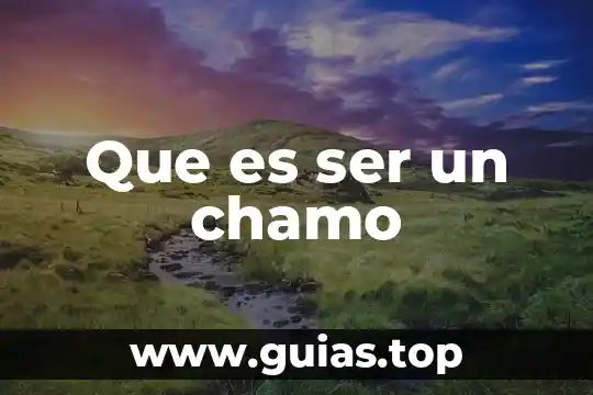 Que es ser simple y directo 7 Que es ser un chamo