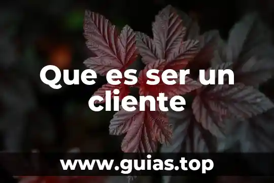 Nivel funcional del cliente que es 7 Que es ser un cliente