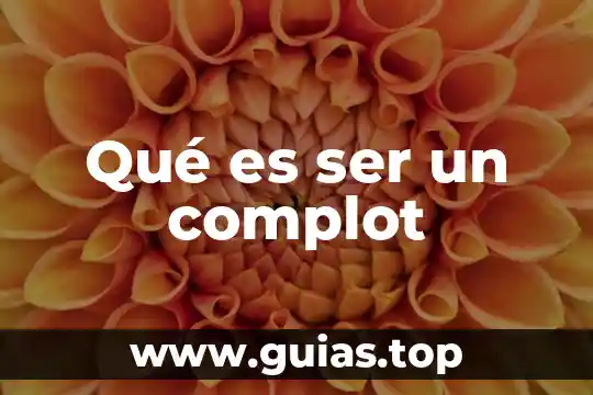 Que es ser demostrativo 8 Qué es ser un complot