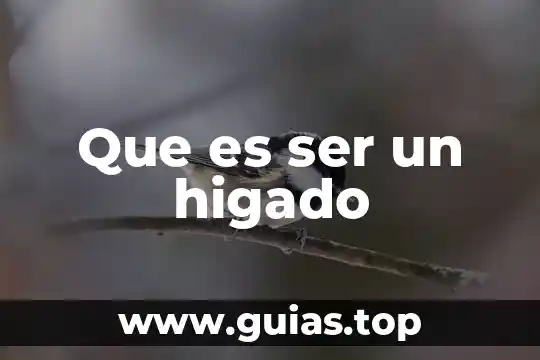 Que es la enfermedad de el higado 4 Que es ser un higado
