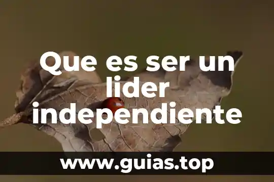Que es ser una persona cortante 3 Que es ser un lider independiente