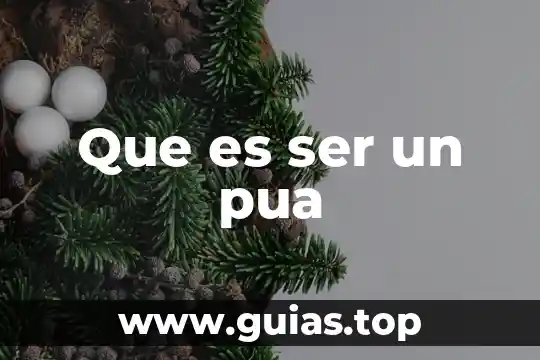 Modelo delphi que es 6 Que es ser un pua