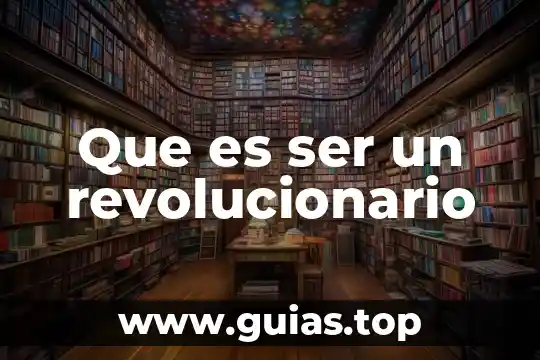 Que es ser mairo 5 Que es ser un revolucionario
