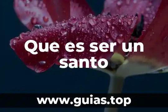 Introduccion de que es ser social 8 Que es ser un santo