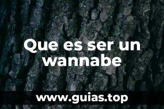 Que es ser cantante solista 8 Que es ser un wannabe