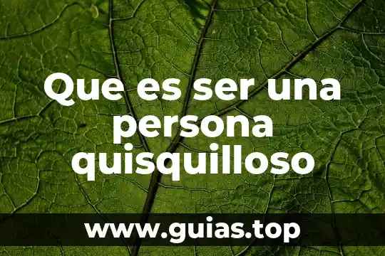 Que es ser diseñafor 5 Que es ser una persona quisquilloso