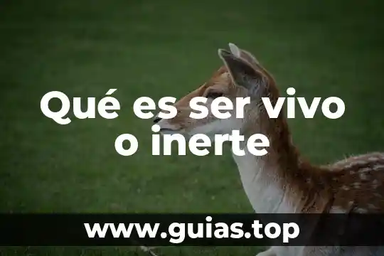Que es ser interesada 8 Qué es ser vivo o inerte
