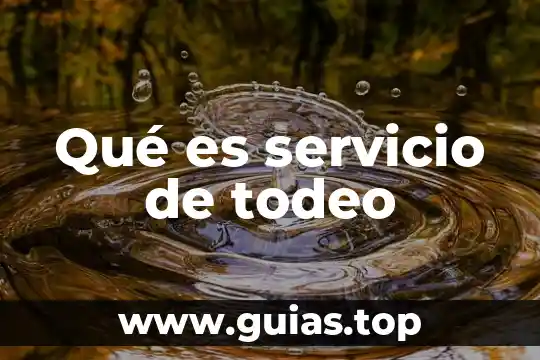 Para que es un jefe de servicio en un hospital 3 Qué es servicio de todeo