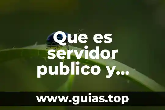 Que es un color negativo fisica 7 Que es servidor publico y funcionario publico