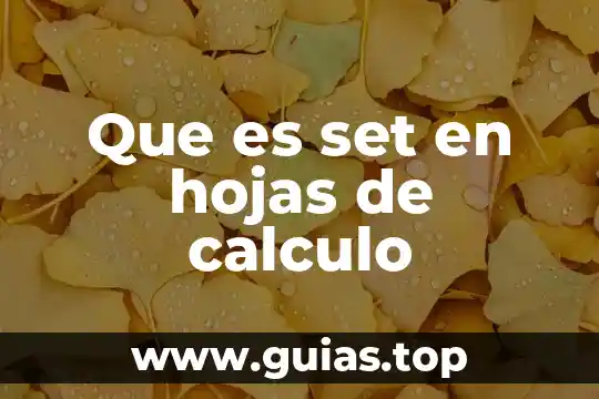 Que es hojas para el marcado a fuego 3 Que es set en hojas de calculo