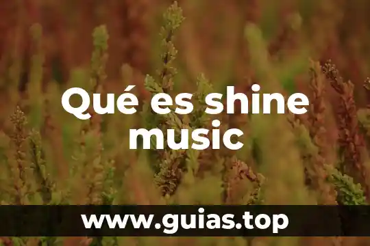 Telehit music band que es de ellos 4 Qué es shine music