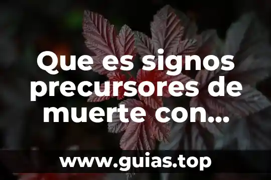 Que es el lenguaje escrito segun autores 4 Que es signos precursores de muerte con autores
